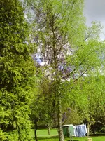 PICT0012.webp