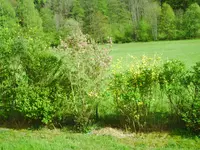 PICT0014.webp
