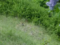 P1040820.webp