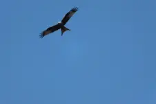 2014_0424Frühling0010.webp