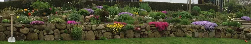 Hangbeet2_900_Panorama.webp