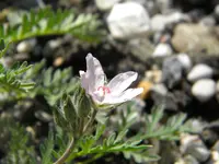 DSCN7181.webp