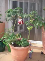 IMGP0235.webp