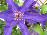 Bild 070.webp