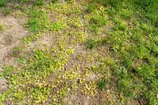 DSC07400.webp