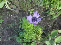 HPIM0423.webp