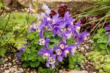 Stg 14-04-25-1928.webp