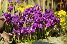 Stg 14-04-21-1812.webp