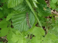 DSCF7760.webp