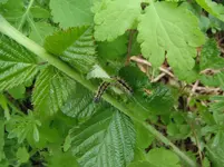 DSCF7756.webp