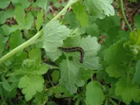 DSCF7757.webp
