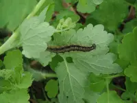 DSCF7758.webp