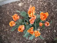 DSCF7762.webp