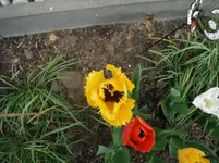 DSCF7764.webp