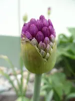26_4 (2).webp