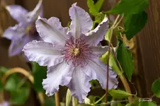 blog_SAM_4799.webp