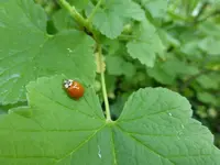 P1050820.webp