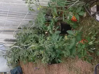 20140426_165217.webp