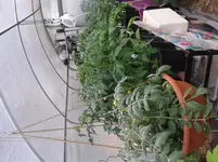 20140426_165245.webp