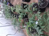 20140426_165754.webp
