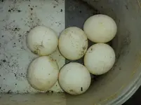 20140426_170245.webp
