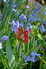 DSC_0912.webp