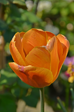 DSC_0914.webp