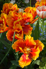 DSC_0915.webp