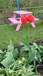 15.webp
