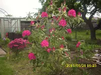 Sortieren 190.webp