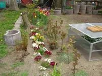 DSC03012.webp