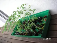 PICT0002.webp