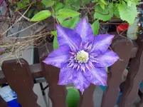 100_6188.webp