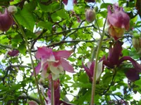 PICT0015.webp