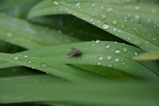 DSC_0934.webp