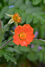 DSC_0933.webp
