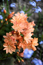 DSC_0944.webp