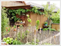Säulenkirschen im Garten.webp