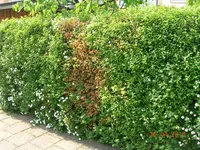 DSCN2741.webp