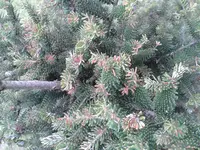 2014-04-24 19.18.27.webp
