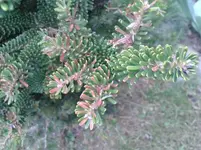 2014-04-24 19.18.48.webp