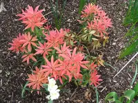 Garten,27.4 013.webp