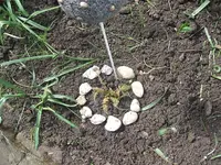 Garten,27.4 001.webp