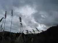 maulwurfgrau (3).webp