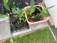 DSCN1025.webp