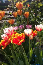 IMAG1872.webp