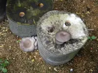 DSCN6655.webp