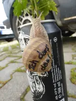 P1050997.webp P1050997.webp