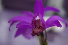 _DSC5767.webp