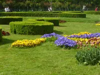 P1120570.webp
